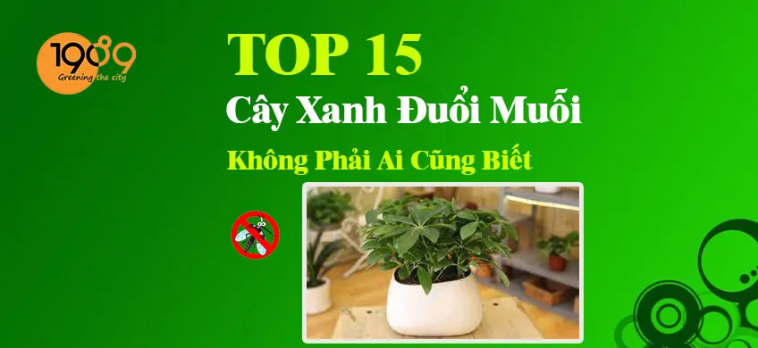 Có những tác dụng phụ nào khi sử dụng cây bạc hà để đuổi muỗi?