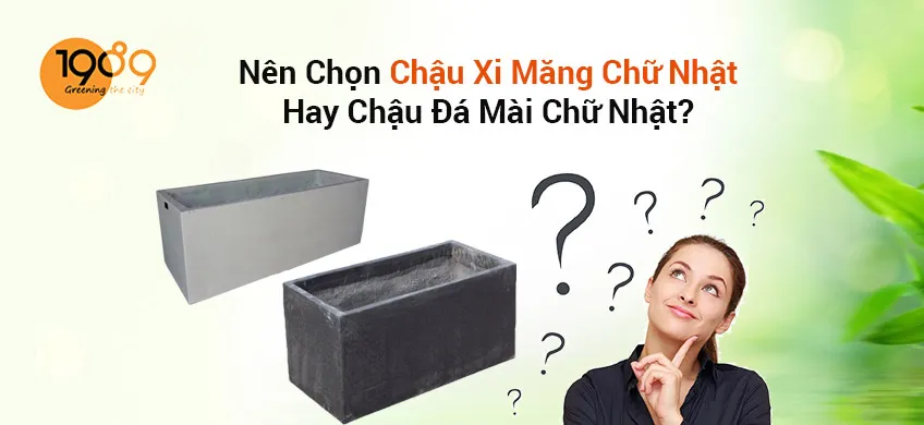 chậu xi măng chữ nhật có tốt không