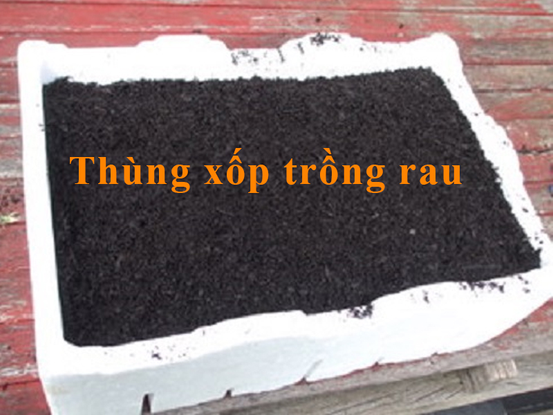 thùng xốp trồng rau