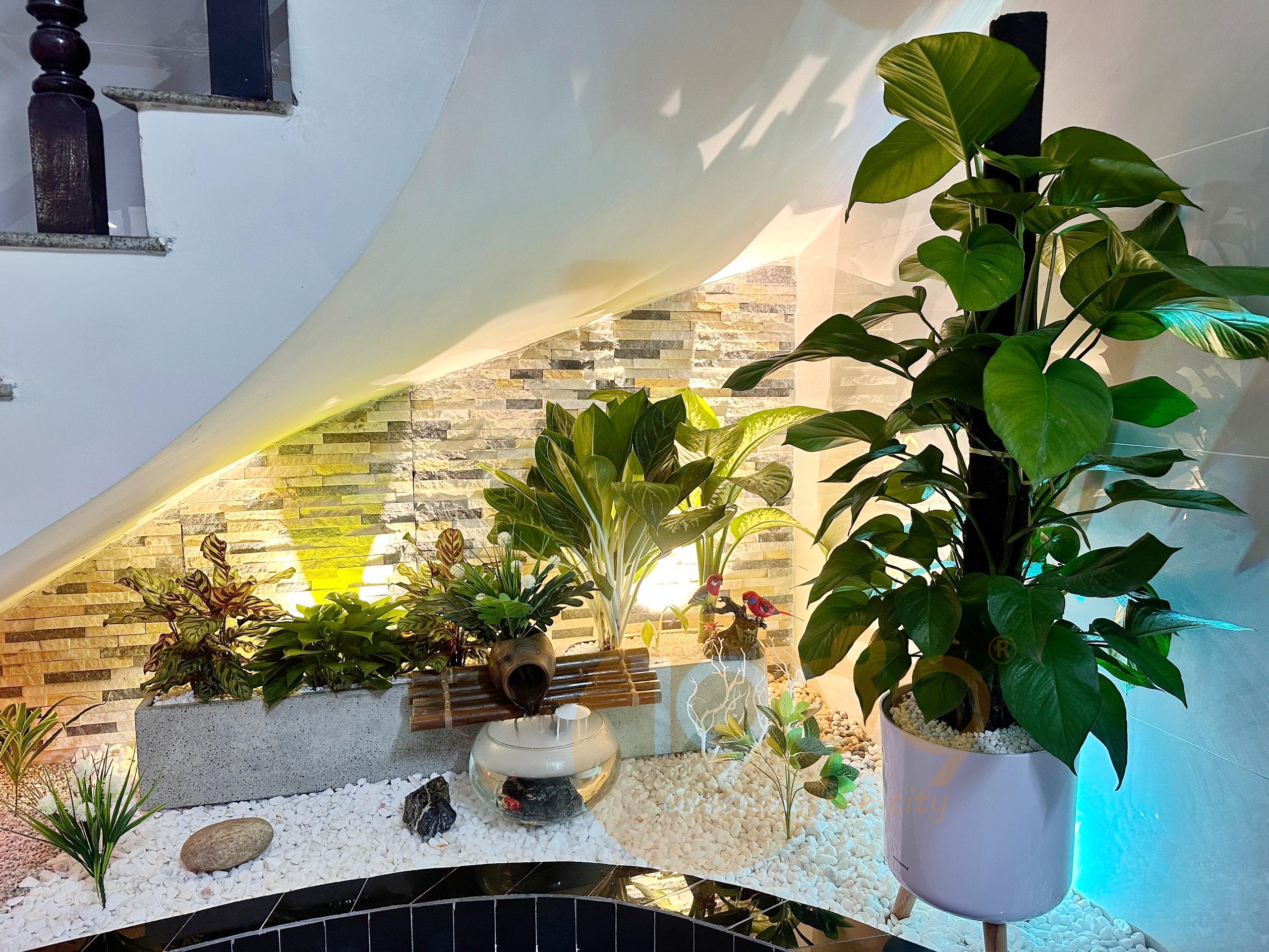 Chăm sóc cây để sàn: Bí quyết giữ lá xanh tươi trong phòng máy lạnh cả bốn mùa