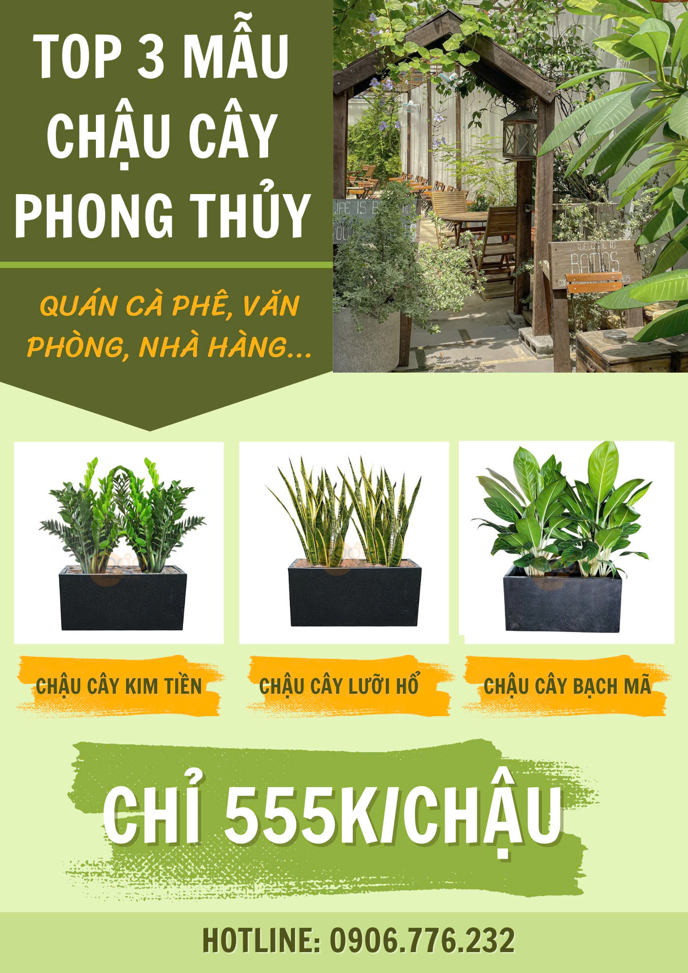 Top 3 Mẫu Chậu Xi Măng Đá Mài Chữ Nhật Giá Rẻ Bạn Nên Biết | 1989 LS