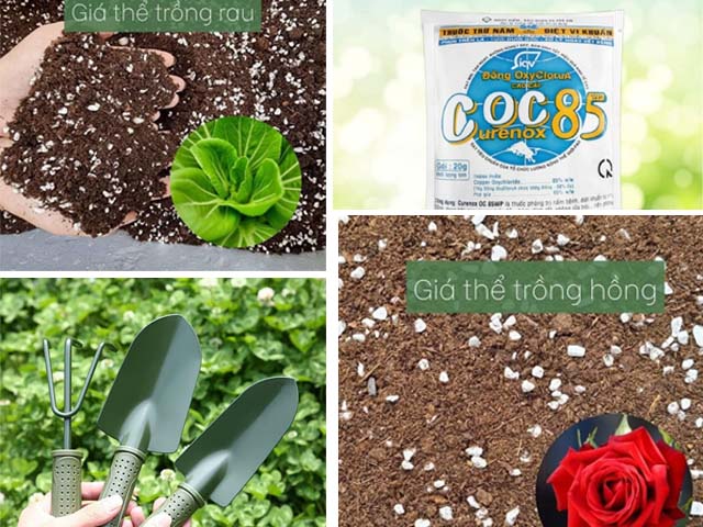 Top 7 Nơi Bán Đất Trồng Cây Quận Bình Thạnh An An.jpg