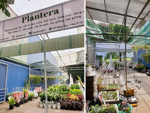 Top 7 Nơi Bán Đất Trồng Cây Quận Bình Thạnh plantera.jpg