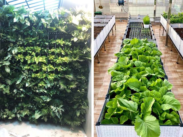 Top 7 Nơi Bán Đất Trồng Cây Quận Bình Thạnh quang anh.jpg