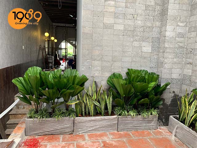 trang trí cây xanh cho nhà hàng chay vị quê hcm