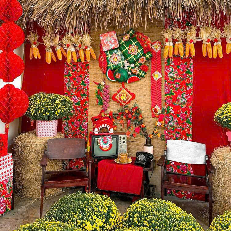 Hoa Cúc Mâm Xôi Trang Trí Tết - Đặc Điểm, Ý Nghĩa & Cách Chăm Sóc