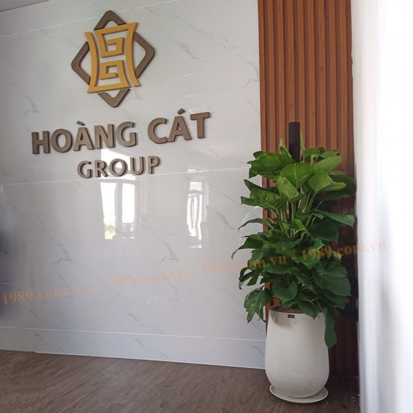 1989JSC Trang Trí Cây Xanh Văn Phòng Hoàng Cát Group