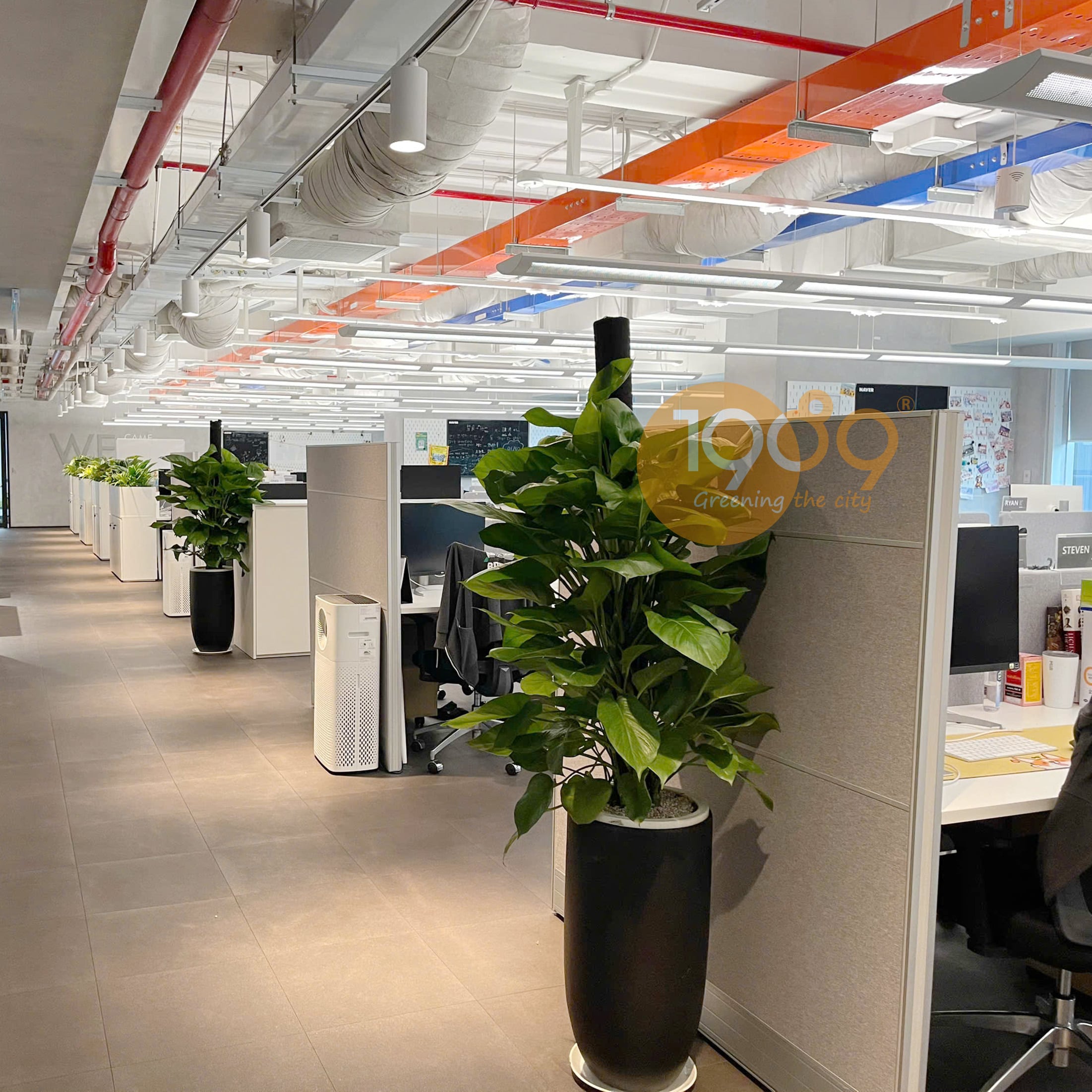 Cho Thuê Cây Xanh Văn Phòng