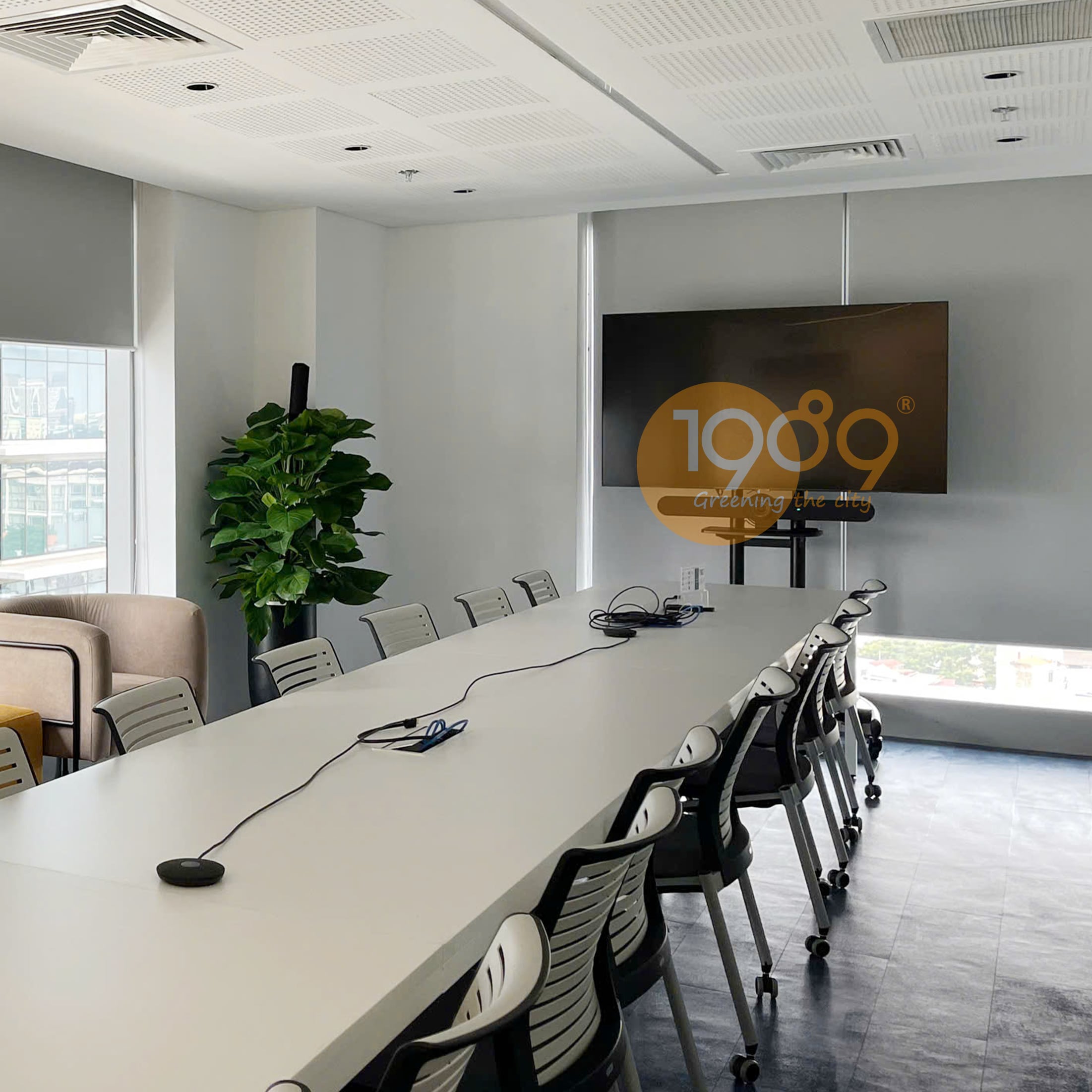 Chăm sóc cây để sàn: Bí quyết giữ lá xanh tươi trong phòng máy lạnh cả bốn mùa