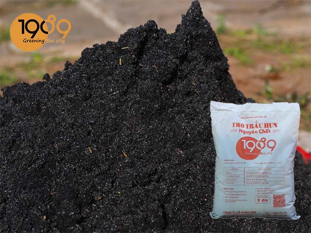 tro trấu hun trồng cây