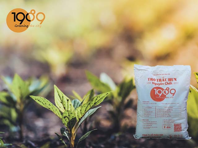 trồng cây bằng tro trấu hun