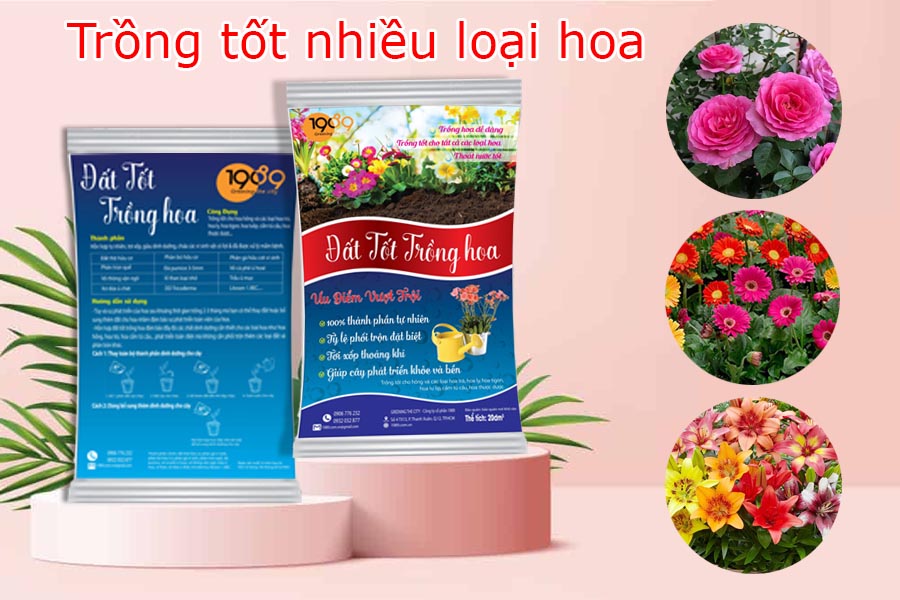 đất tốt trồng hoa trồng tốt nhiều loại hoa