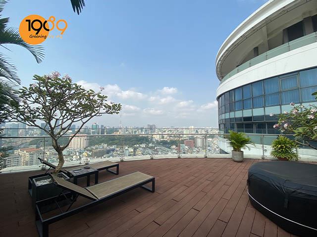 trước khi sử dụng dịch vụ thuê cây