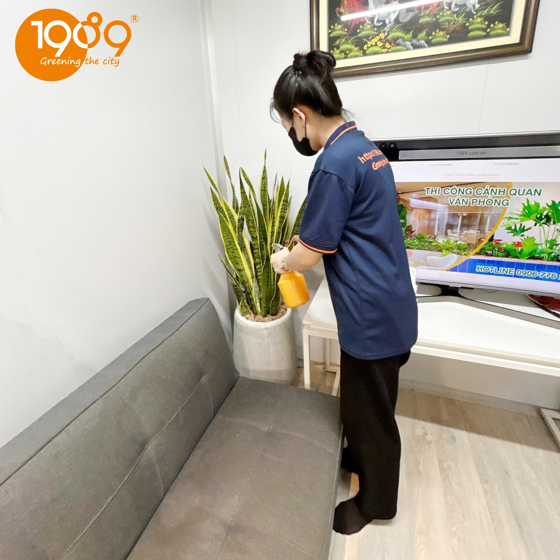 Chăm sóc cây để sàn: Bí quyết giữ lá xanh tươi trong phòng máy lạnh cả bốn mùa