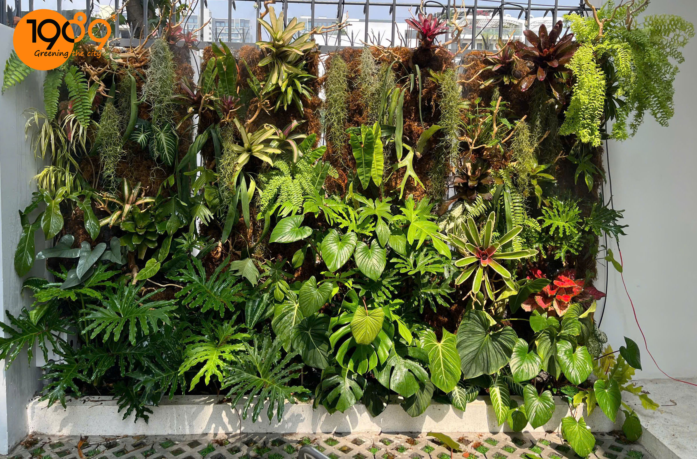 Thiết Kế Ban Công Xanh Từ Cải Tạo Tối Ưu Đến Trồng Mới