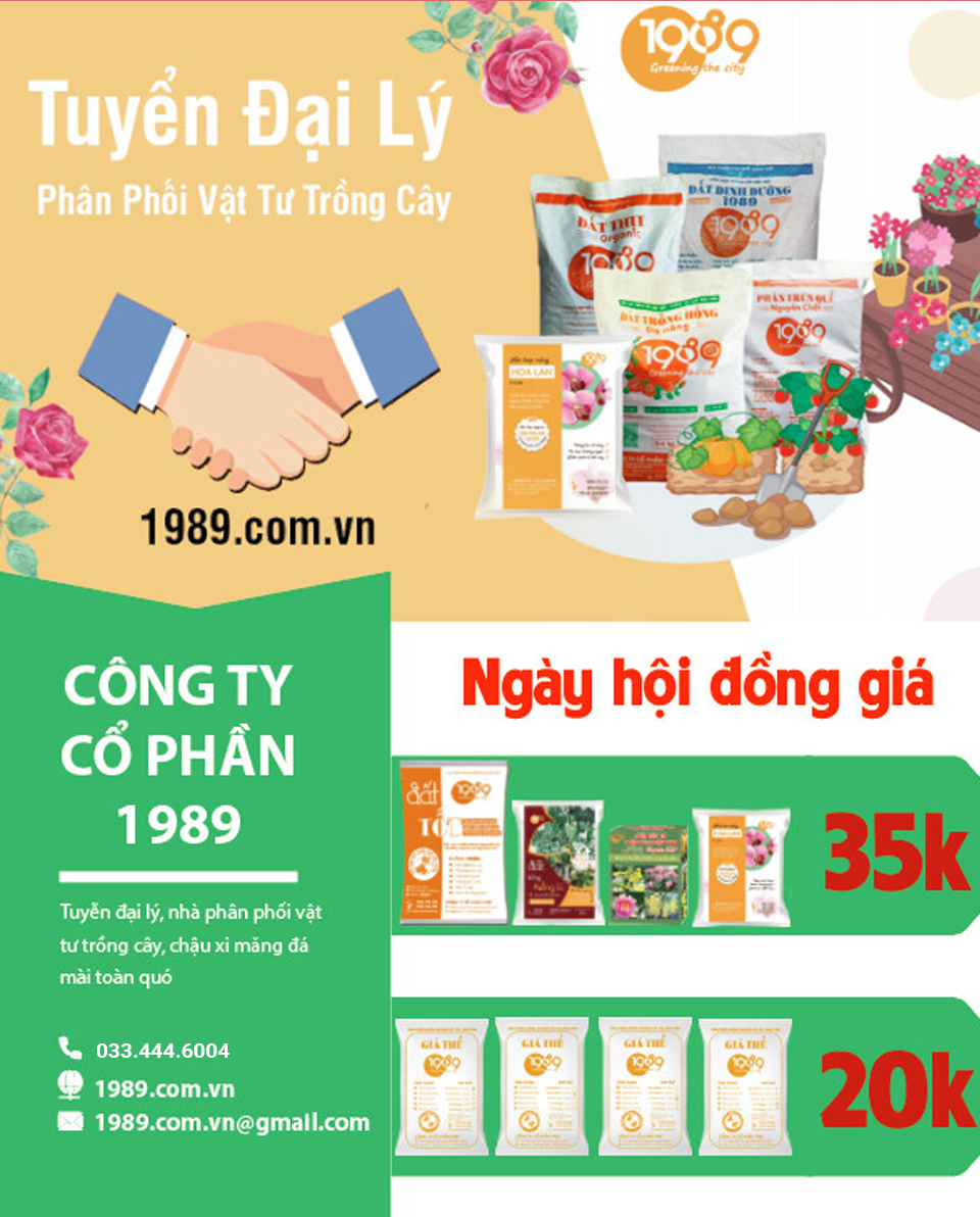 Tuyễn đại lý - cung cấp sản phẩm trồng cây đồng giá