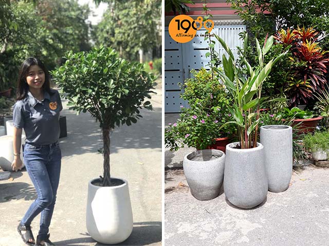 ứng dụng chậu xi măng đá mài bầu