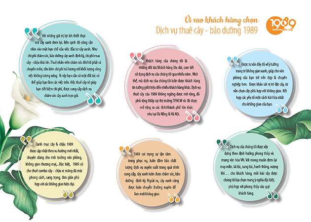 vật tư nông sanr tphcm company profile 1989-11