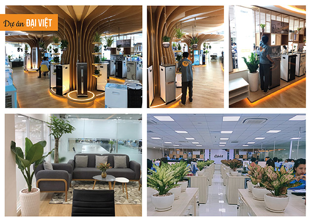 vật tư nông sanr tphcm company profile 1989-16