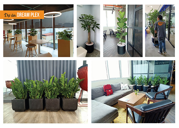 vật tư nông sanr tphcm company profile 1989-17