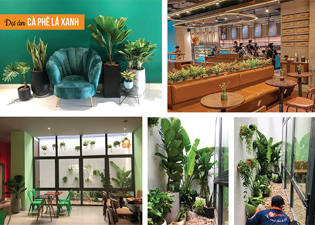 vật tư nông sanr tphcm company profile 1989-19