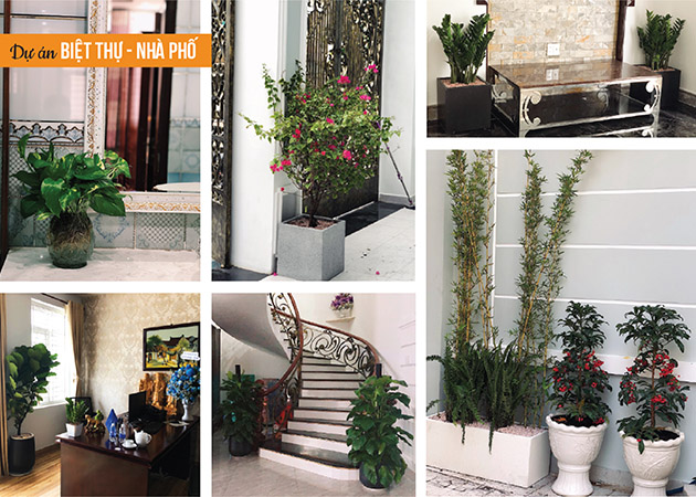 vật tư nông sanr tphcm company profile 1989-20