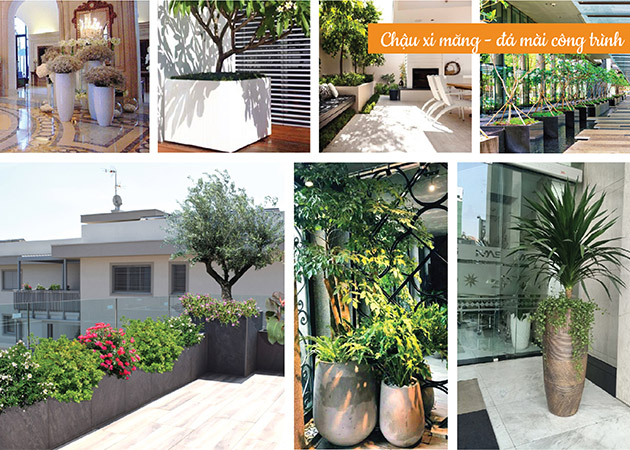 vật tư nông sanr tphcm company profile 1989-24