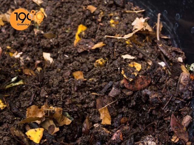 vị trí đặt ủ rác nhà bếp