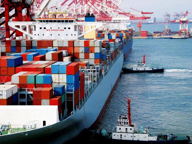 Vosa thuê cây xanh văn phòng tphcm 2