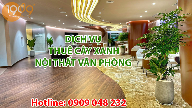 vpb thue cay noi that van phong cua 1989