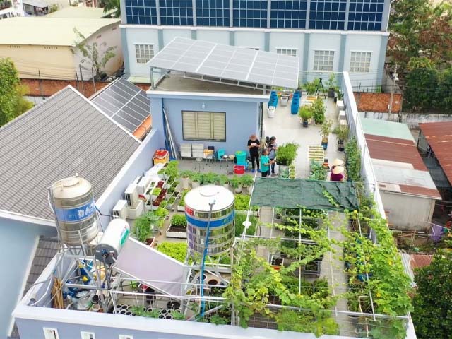 vườn rau sạch Nguyễn Long