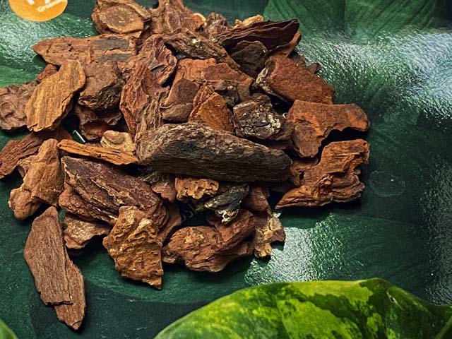 xử lý giá thể vỏ thông nhanh nhất