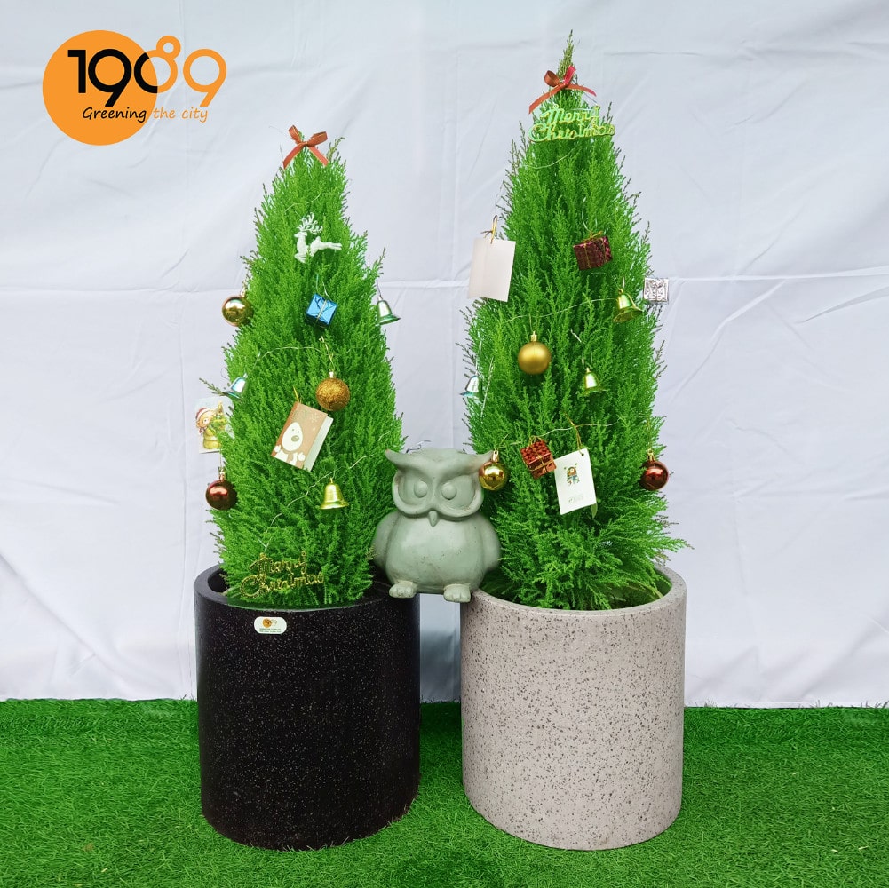 Chậu xi măng đá mài tròn trụ