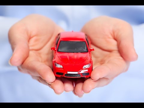 Bạn đã có bảo hiểm xe cơ giới?