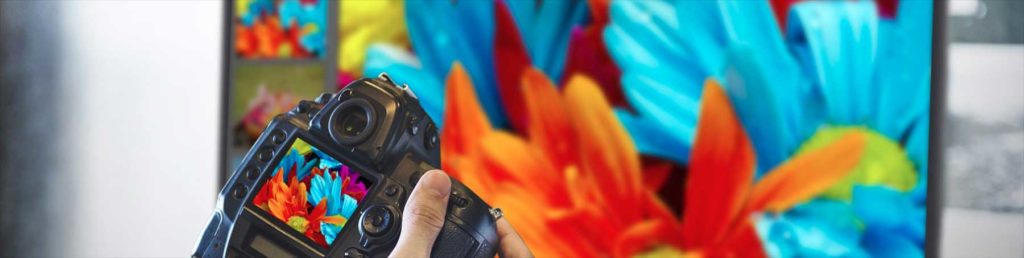 Cẩm nang lựa chọn màn hình đồ họa tốt nhất để chỉnh sửa ảnh Cẩm nang lựa chọn màn hình đồ họa tốt nhất để chỉnh sửa ảnh