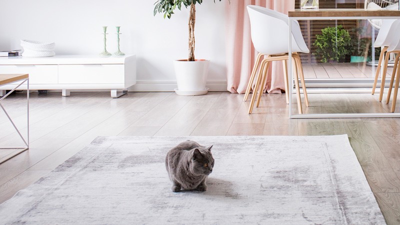 GIẢI PHÁP LƯU TRỮ DỮ LIỆU VỚI NAS QNAP GIẢI PHÁP LƯU TRỮ DỮ LIỆU VỚI NAS QNAP