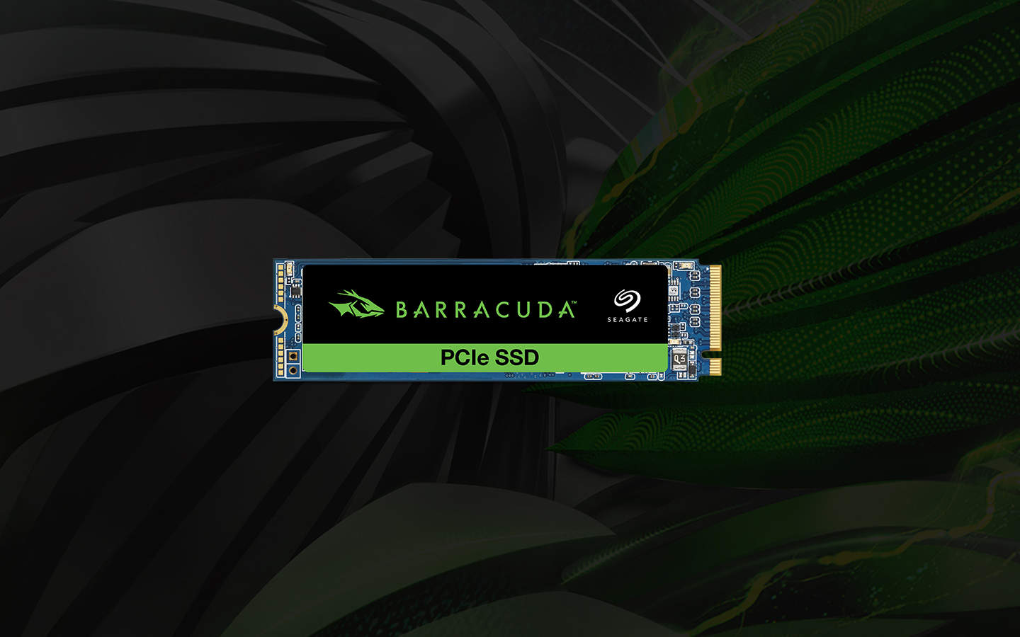 Lưu Trữ Được Đề Xuất Cho PC Chơi Game Lưu Trữ Được Đề Xuất Cho PC Chơi Game