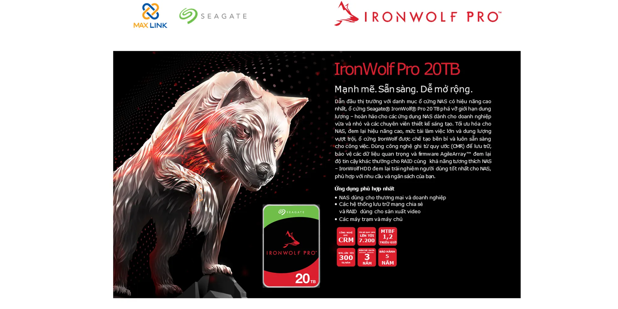 Seagate IronWolf Pro 20TB - Ổ Cứng Dung Lượng Lớn Nhất Chuyên Dành Cho NAS