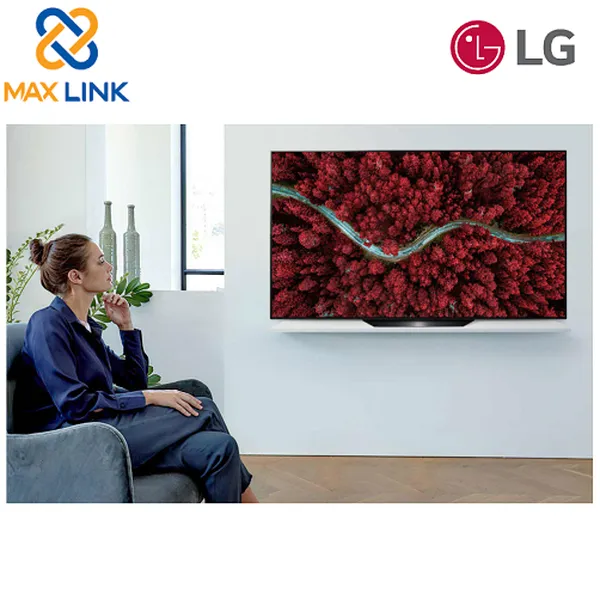 Smart OLED TV LG BX 55 inch OLED55BXPTA 4K