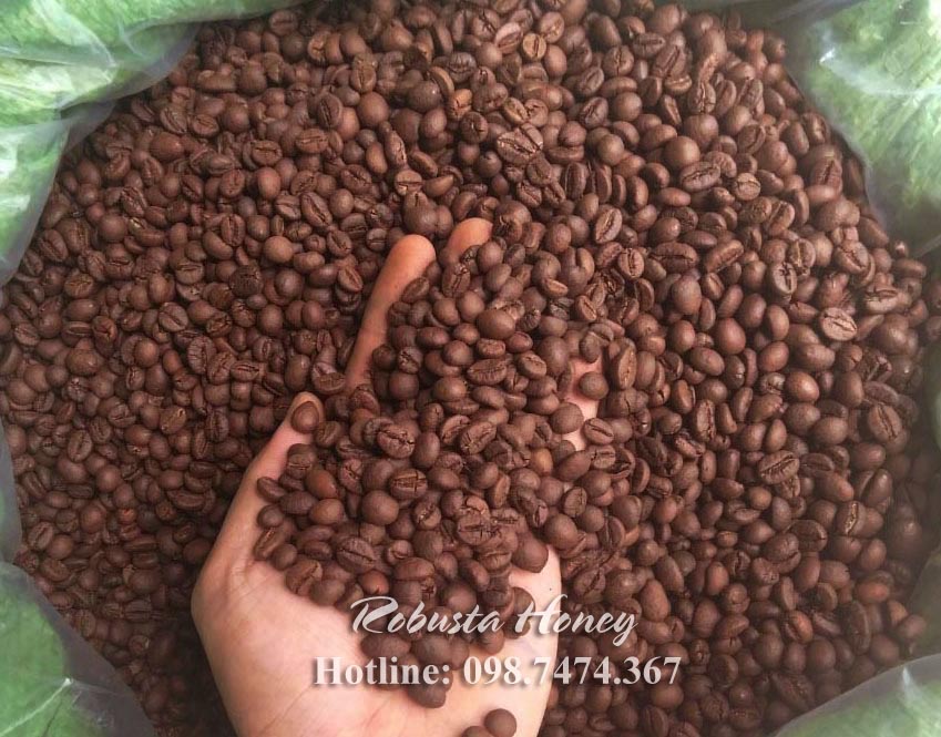 cà phê robusta Honey loại 1 rang mộc giá sỉ cà phê robusta Honey loại 1 rang mộc giá sỉ