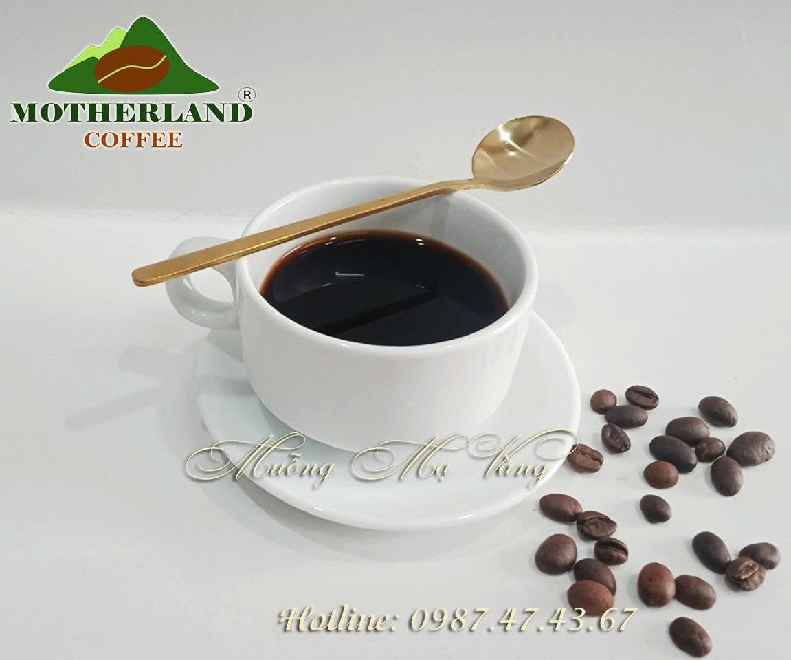 muỗng khuấy cà phê mạ vàng muỗng khuấy cà phê mạ vàng