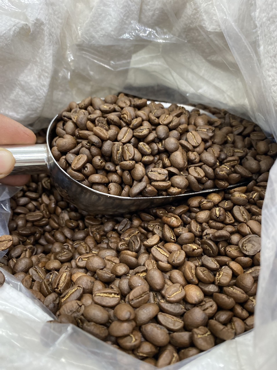 cà phê arabica hút chân không 1 cà phê arabica hút chân không 1