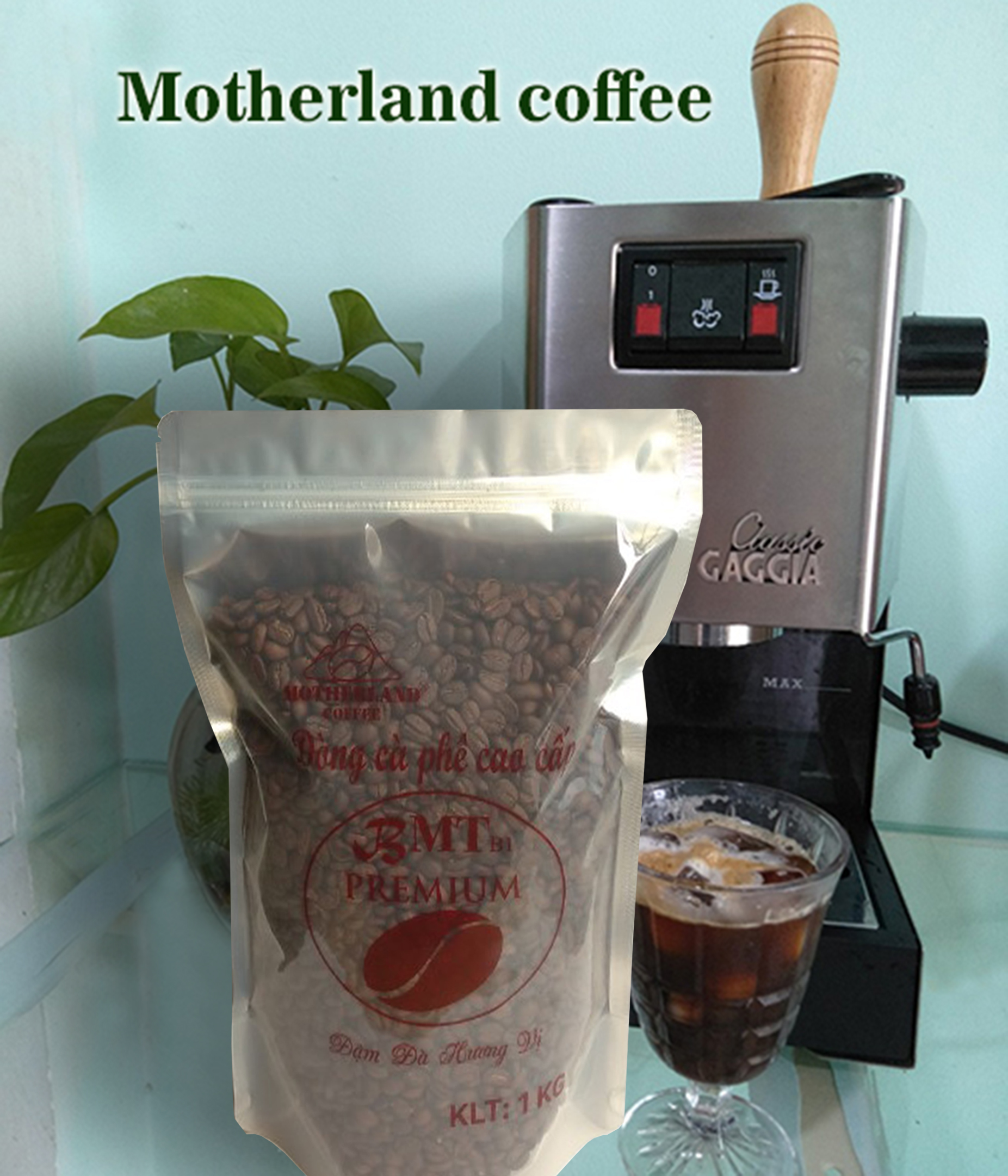 cà phê arabica đà lạt rang mộc gói 1kg