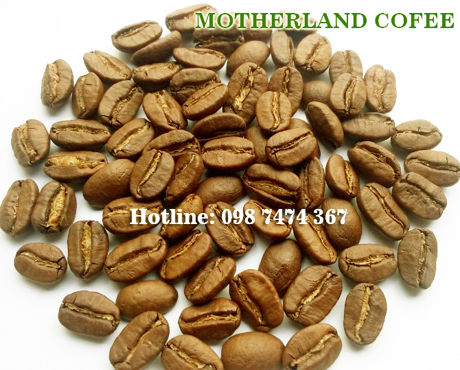 cà phê arabica rang nhạt
