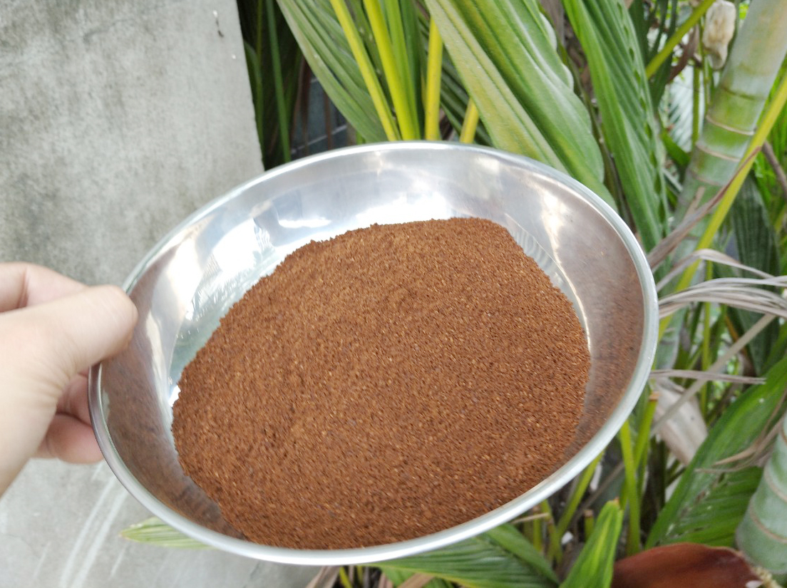 cà phê dùng để làm đẹp cà phê dùng để làm đẹp