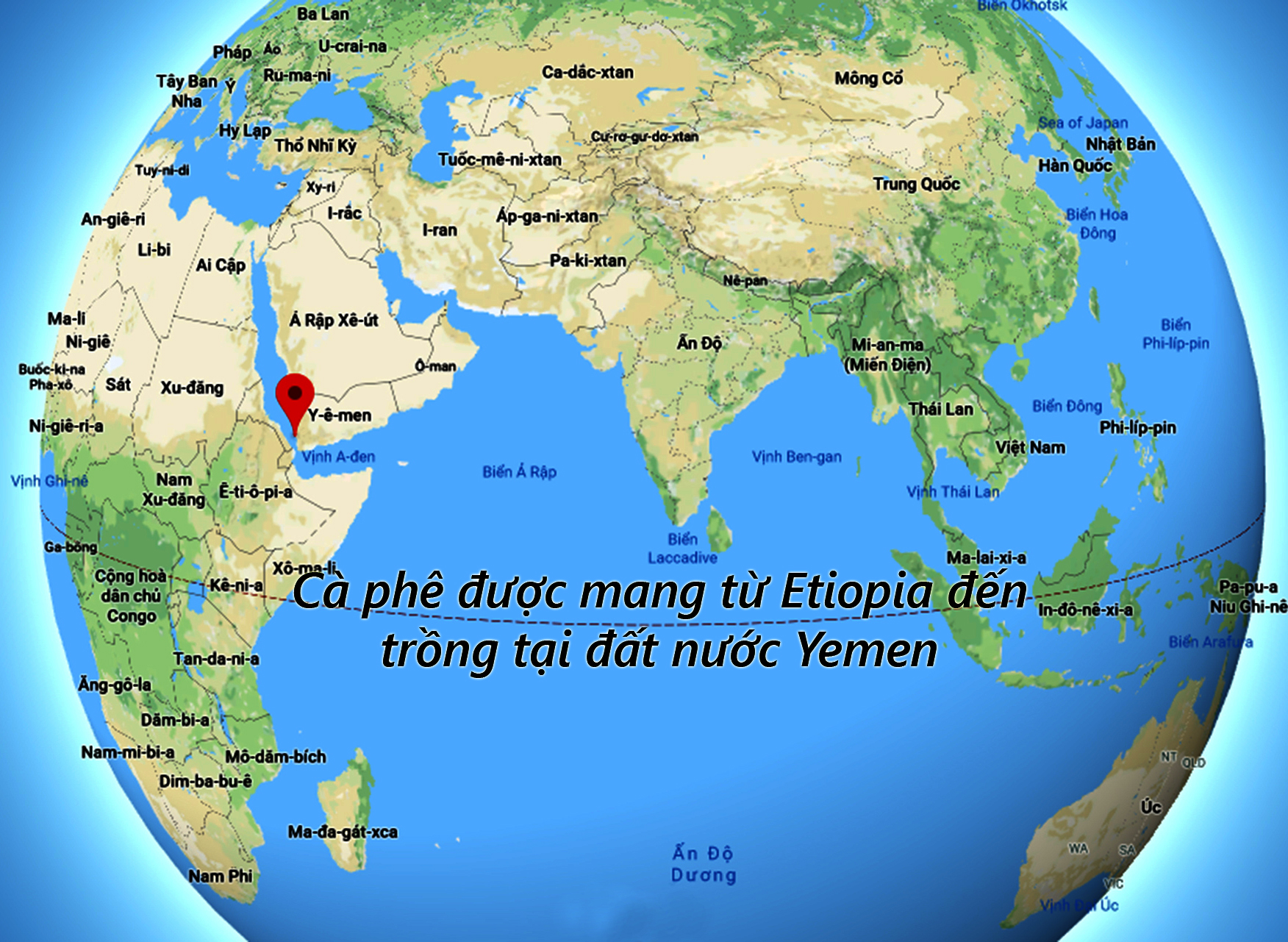 cà phê được mang từ Etiopia đến trồng tại một vùng núi ở Yemen cà phê được mang từ Etiopia đến trồng tại một vùng núi ở Yemen