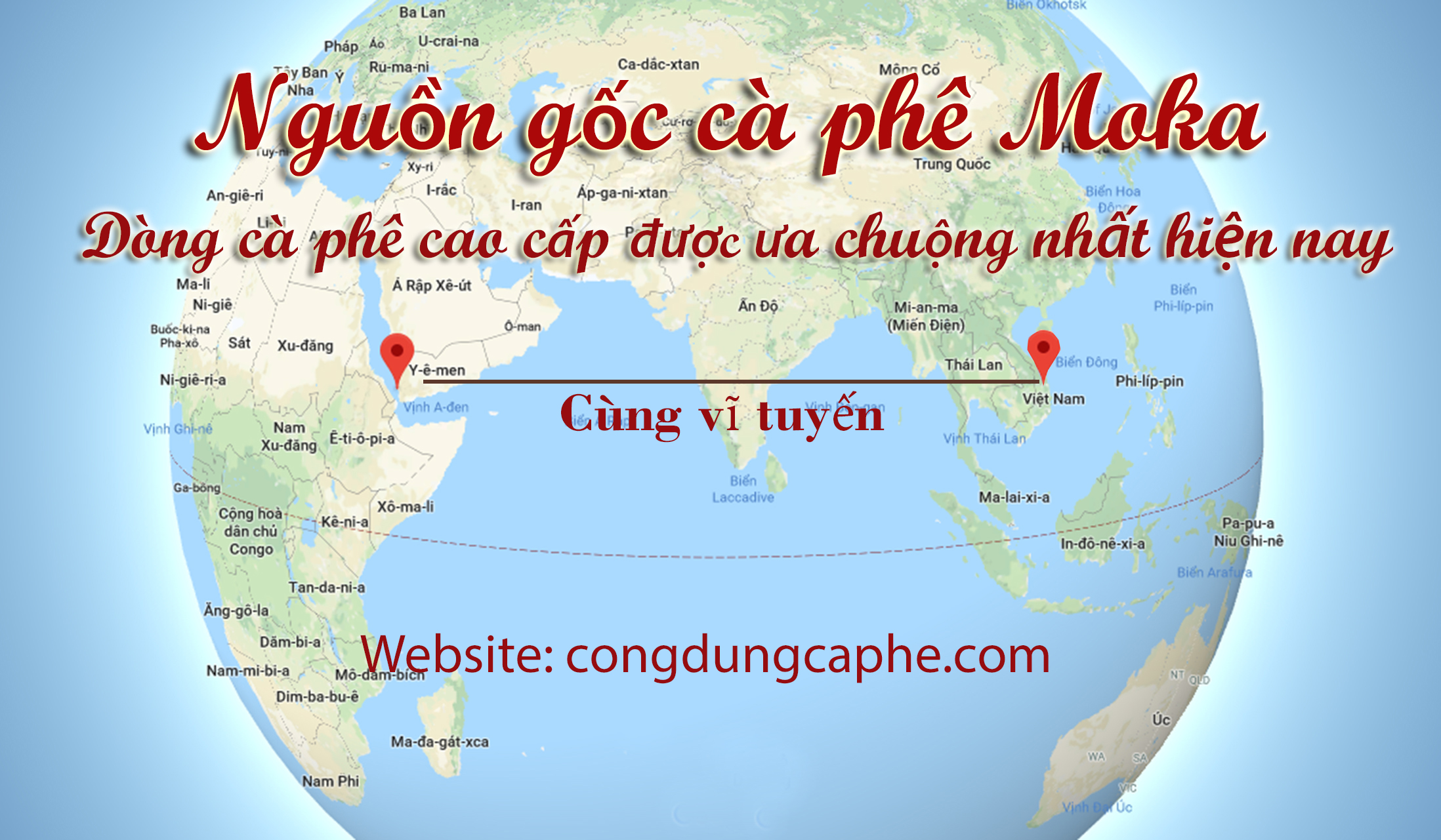 cà phê hạt moka ngon thuần chủng cà phê hạt moka ngon thuần chủng