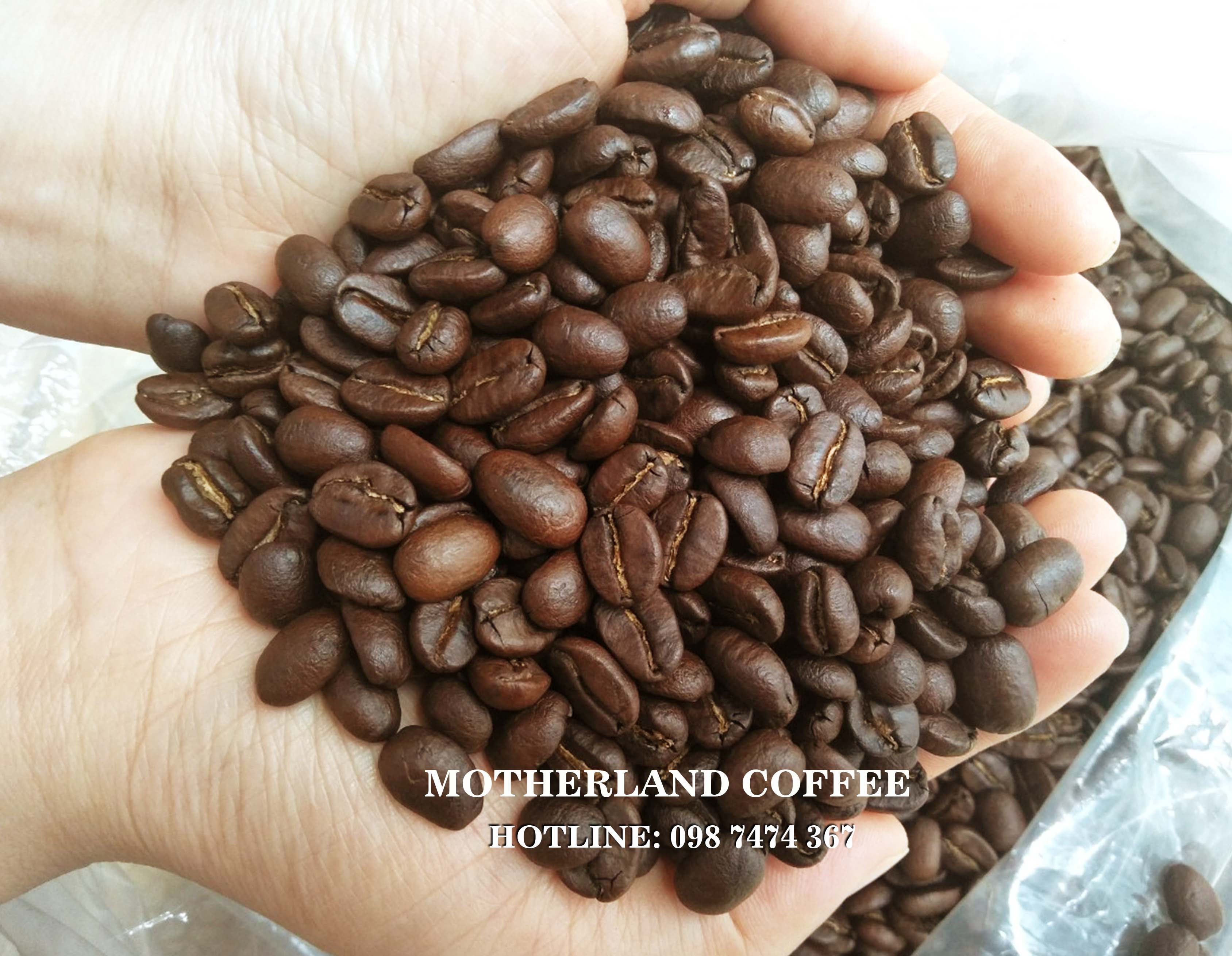 cà phê hạt pha máy bmt Motherland 1kg cà phê hạt pha máy bmt Motherland 1kg