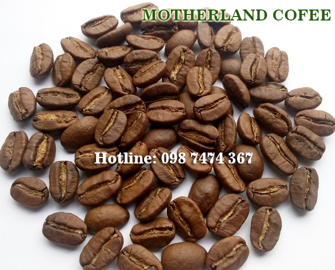 Cà Phê Hạt Rang Arabica Cầu Đất Đà Lạt Gói 500G