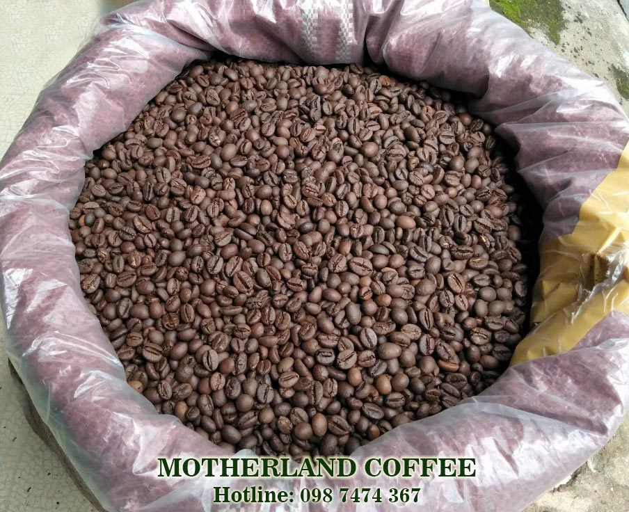 cà phê hạt rang nguyên chất buôn ma thuột pha máy espresso giá sỉ cà phê hạt rang nguyên chất buôn ma thuột pha máy espresso giá sỉ